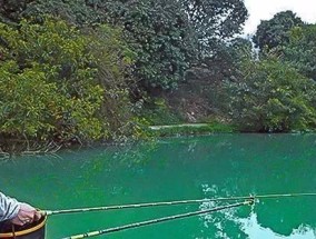 野外钓鱼技巧（水塘挖掘）