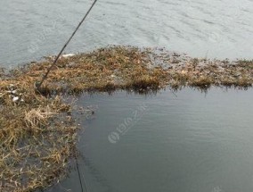 大雪季节钓鱼技巧有哪些？如何应对低温天气？
