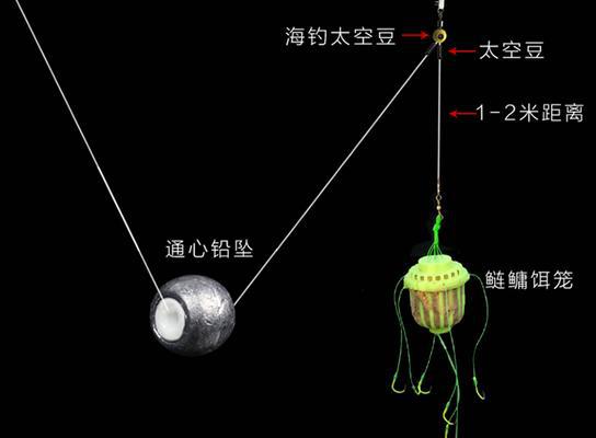 掌握抛竿钓法，成为钓鱼高手（九个技巧帮你提升抛竿钓法水平）  第1张