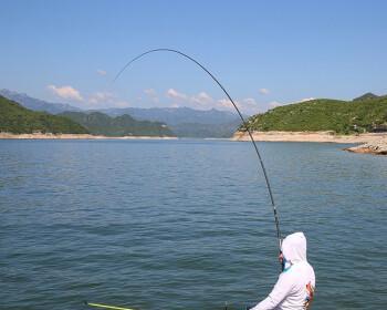 八米竿子钓鱼的技巧与方法（钓鱼神器八米竿子的使用技巧和注意事项）  第3张