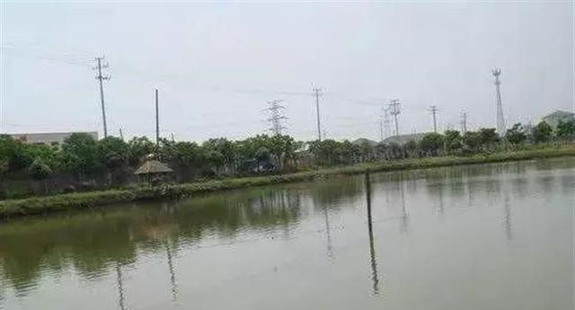 雨天钓鱼技巧（五月份山东雨天钓鱼必备，）  第2张