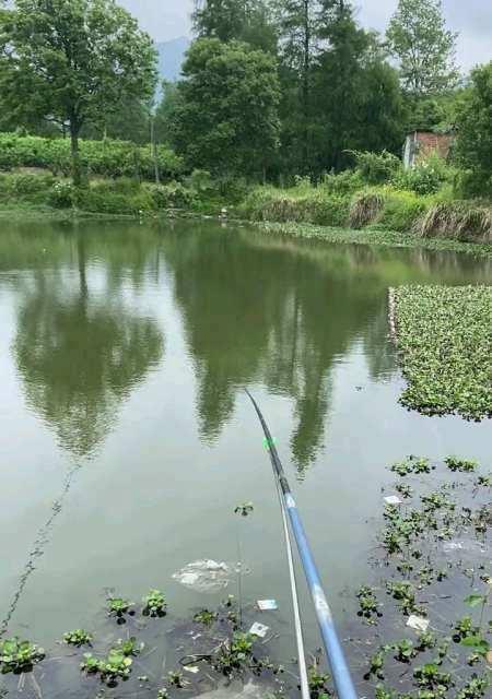 巴基斯坦河流野钓技巧（探秘巴基斯坦河流钓鱼的窍门）  第2张