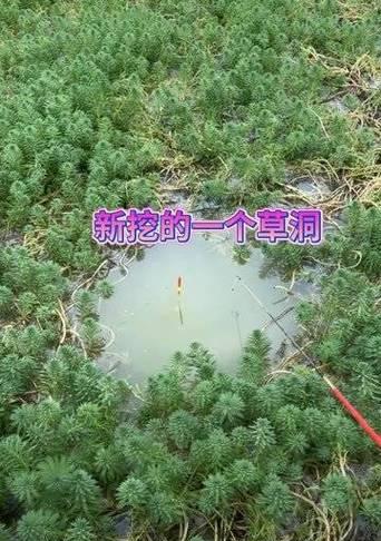 拔山涉水钓鱼的技巧与经验（技巧分享、钓鱼心得与实用建议）  第1张