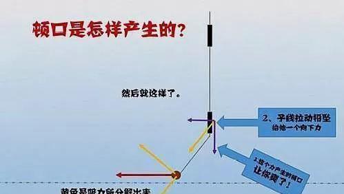 半水钓鱼调漂技巧教程（钓鱼爱好者必备的半水钓鱼调漂技巧）  第2张