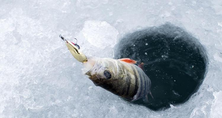冰面钓鱼绝密技巧（寒冬中的温暖娱乐，钓鱼技巧揭秘）  第1张