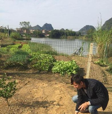 菜地小河沟钓鱼技巧（掌握钓鱼技巧，乐享菜地小河沟的钓鱼乐趣）  第1张