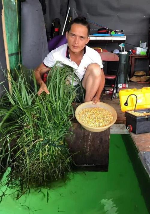 河边水草窝钓鱼的技巧与方法（探秘水草窝中的丰鱼天堂）  第3张