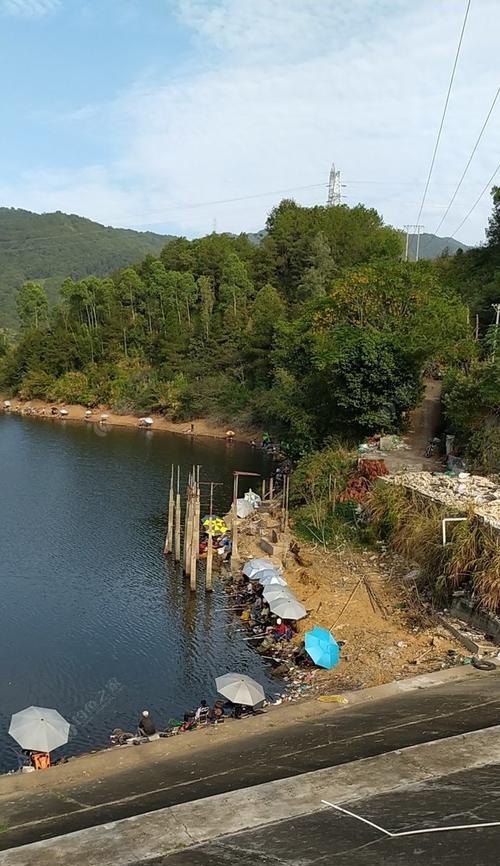 岔湾水库钓鱼技巧（掌握岔湾水库钓鱼技巧，让你钓到丰收）  第3张