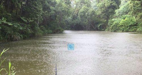 初秋雨天野钓技巧（雨中佳人，钓中乐趣）  第1张