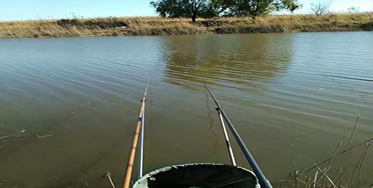 初夏钓鱼的三个技巧（掌握这三个技巧，让你初夏钓鱼无往不利！）  第1张