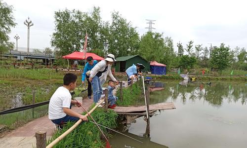 初夏江河钓鱼技巧（挥竿垂钓江河之间的乐趣）  第1张