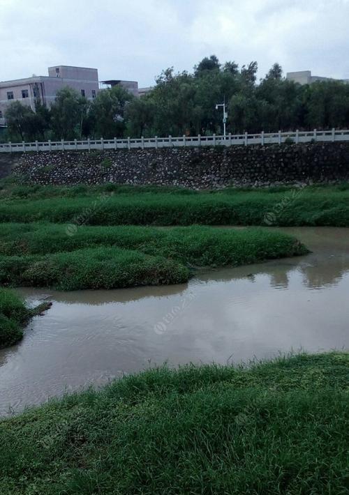 初夏流水河钓鱼技巧与方法（初夏河边垂钓，技巧助您大收获）  第1张