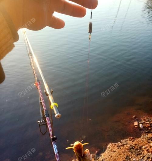 初夏浅滩钓鱼技巧教程（享受初夏阳光，掌握浅滩钓鱼技巧）  第1张