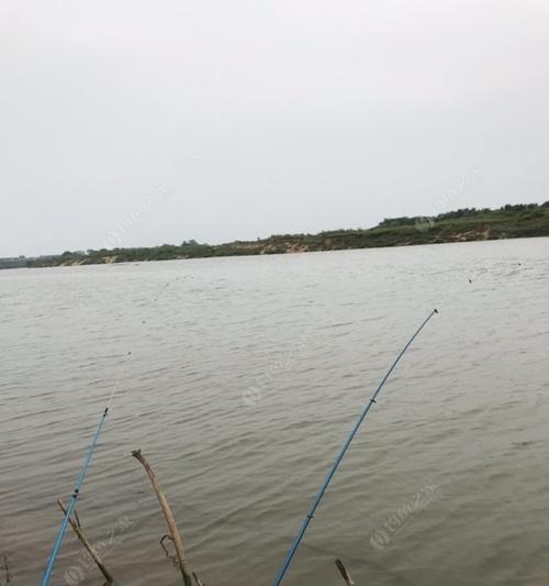 初夏手竿野钓白条技巧（初夏手竿野钓白条技巧，轻松钓到丰盛的白条鱼！）  第2张