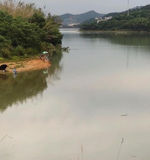 初夏小雨天野钓技巧（揭秘钓友必备的初夏小雨天钓技，助您丰收满载！）  第3张