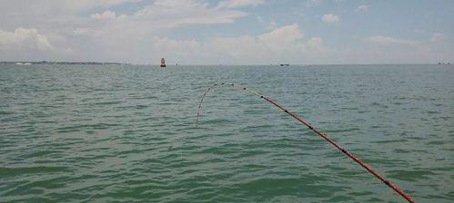 初夏雨季钓鱼技巧与方法（提高成功率的关键）  第1张