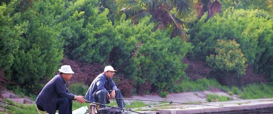 初夏雨季钓鱼技巧与方法（提高成功率的关键）  第2张