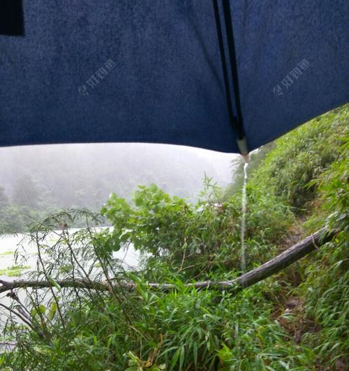 初夏雨季钓鱼技巧教程（掌握雨季钓鱼的窍门，享受初夏湿润的乐趣）  第2张