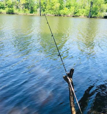 初夏雨季钓鱼技巧教程（掌握雨季钓鱼的窍门，享受初夏湿润的乐趣）  第3张