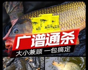 初学钓鱼的基础饵与技巧（掌握钓鱼基本饵料和技巧）  第3张