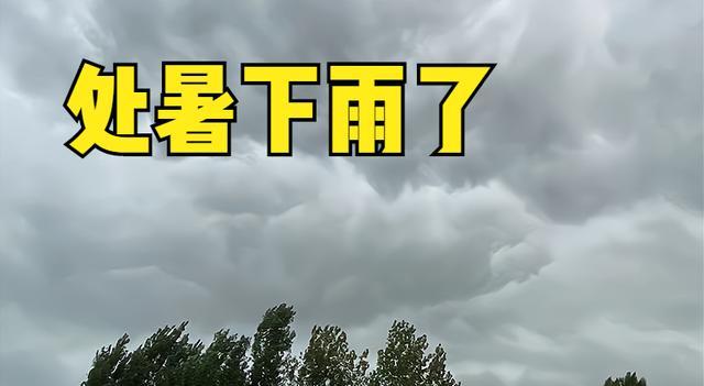 阴天钓鱼技巧（以处暑为界，天气阴沉，如何提高钓鱼成功率？）  第3张