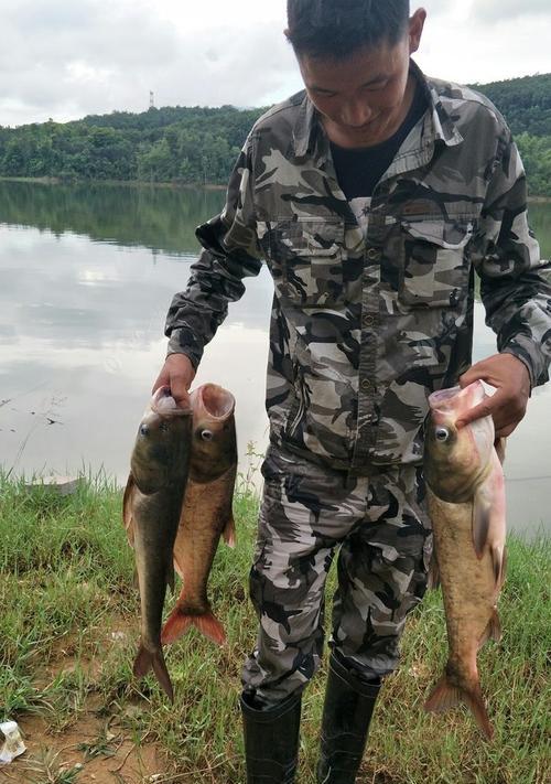 传统钓野钓小技巧（掌握技巧，成为野钓高手）  第3张