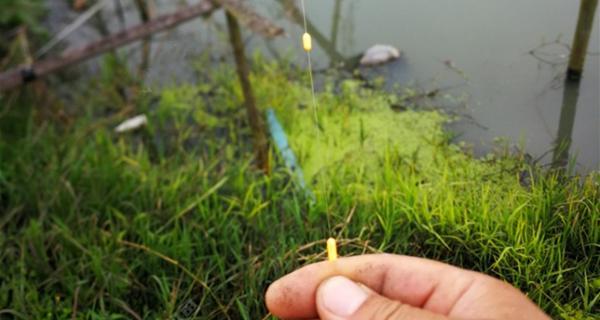 七星传统钓鱼调漂技巧（绝世高手揭秘，钓鱼达人的必备秘籍）  第1张