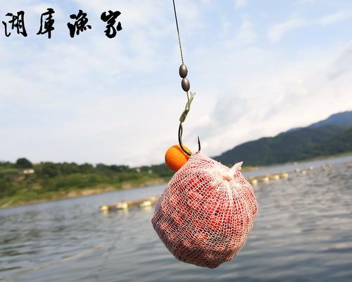 传统钓鱼技巧（掌握关键技巧，提高钓鱼效果）  第3张