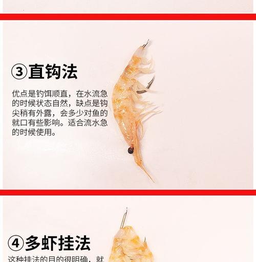船钓沙尖鱼的方法和技巧（掌握这些技巧，让你的船钓沙尖鱼更加得心应手）  第1张