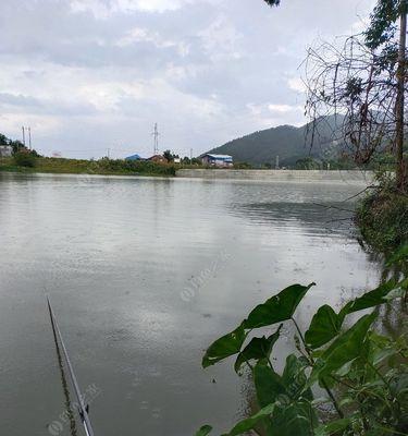 春季雨天钓鱼技巧及方法（钓鱼爱好者必知的湿地垂钓技巧与经验）  第1张
