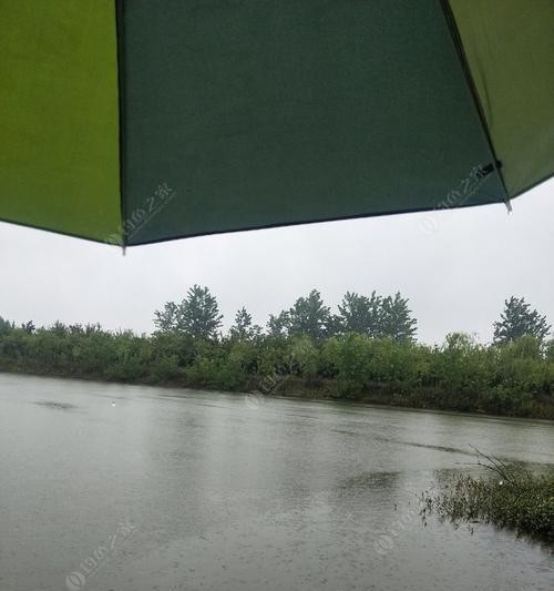 春季雨天钓鱼技巧及方法（钓鱼爱好者必知的湿地垂钓技巧与经验）  第3张