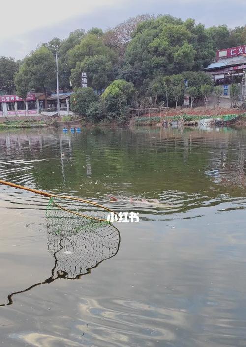 春节鱼塘钓鱼技巧与方法（传授钓鱼高手的秘籍，让你钓出丰收的渔获！）  第3张