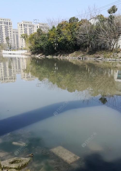 春节早上钓鱼的技巧（钓鱼技巧分享，让你春节早上的钓鱼更加成功）  第2张