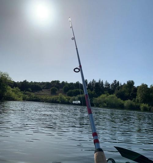 春天钓鱼的技巧（充分利用8到20度的温暖春日，享受钓鱼的乐趣）  第3张