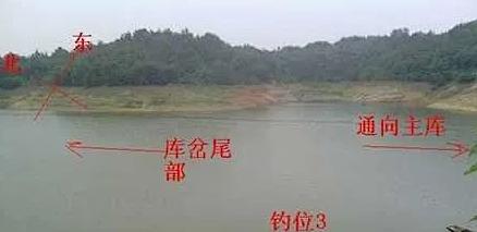 春天大水库钓鱼技巧（挑选好钓位，提高钓鱼成功率）  第2张