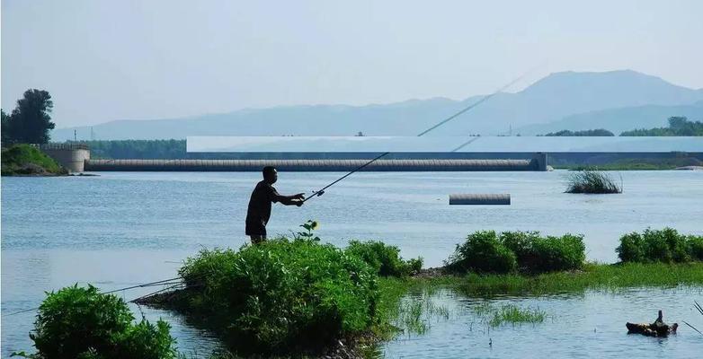 春天钓鱼技巧（钓鱼技巧口诀简单一点）  第1张