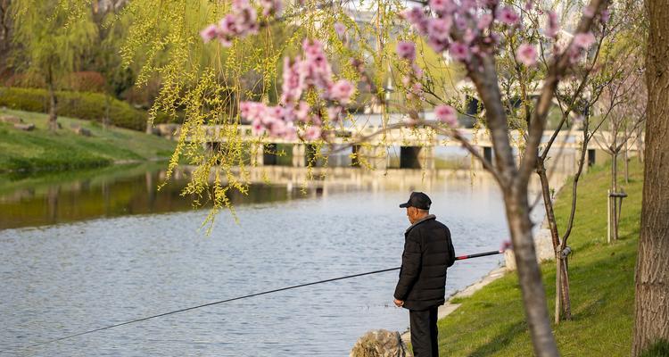 春天钓鱼塘的钓鱼技巧（掌握春季钓鱼塘的窍门，提高钓鱼成功率）  第2张