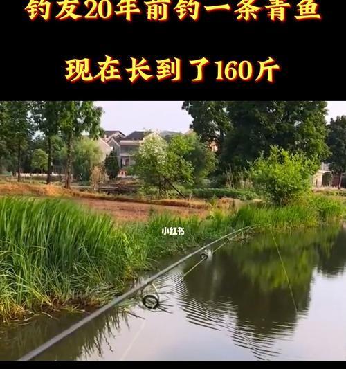 春天二十几度下的钓鱼技巧（享受温暖阳光下的垂钓乐趣）  第3张