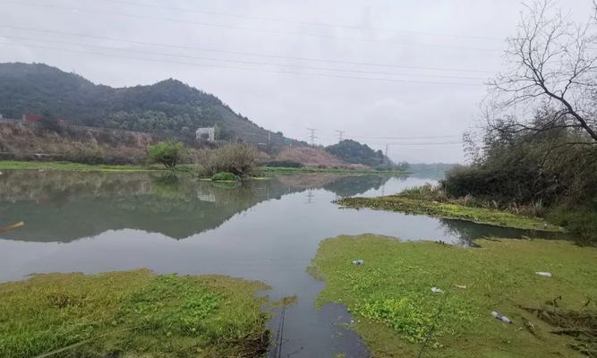 春天湖南钓鱼的技巧（湖南钓鱼技巧大揭秘，让你在春天钓到满满的收获！）  第2张