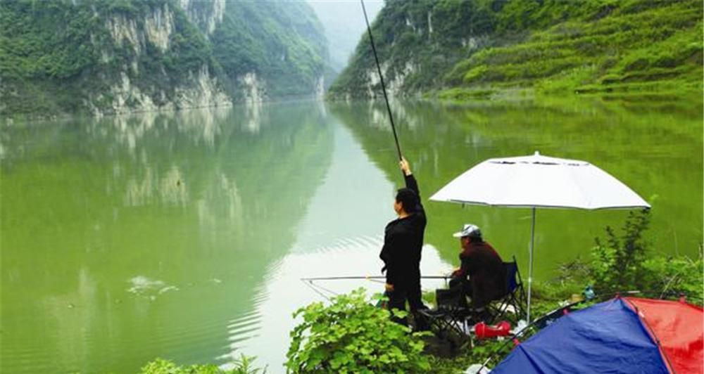 春天钓鱼的技巧与经验（掌握好天气、时间和鱼群行为，成为春季高手）  第2张