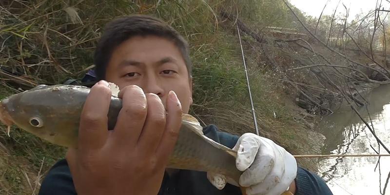 春天连杆钓鱼技巧（提高春季钓鱼效果的实用技巧）  第2张