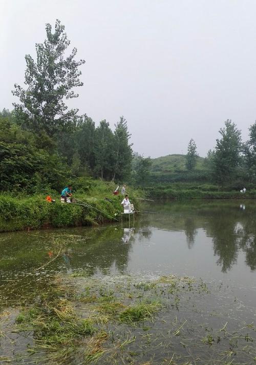 春天堰塘钓鱼技巧大揭秘（提升钓鱼技能，享受春天的美好钓鱼时光）  第1张