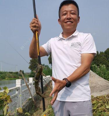 春天野钓黄骨鱼的技巧（黄骨鱼钓法、技巧与经验分享）  第2张