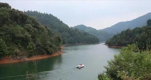 电站回水湾钓鱼技巧（钓鱼宝典，成功捕获大鱼的秘诀）  第1张