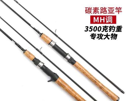 如何选择电子钓鱼竿？（电子钓鱼竿选购技巧及注意事项）  第3张
