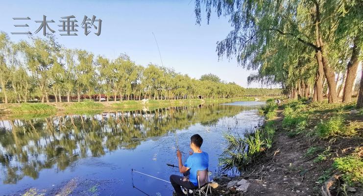 吊石岩水库钓鱼技巧与方法（探寻钓鱼高手的秘密，让你成为水库钓鱼达人）  第1张