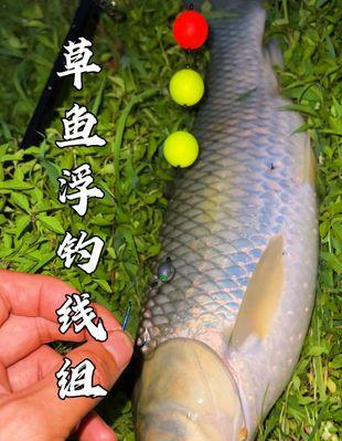 浮钓双钩红虫饵的技巧与方法（掌握这一关键，提高钓鱼成功率）  第2张