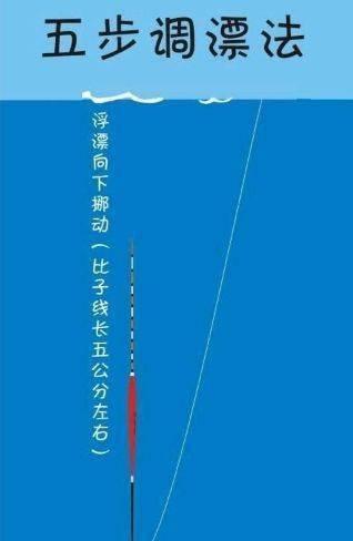 钓浮挂双钩调漂的技巧与方法（掌握钓鱼技术，提升钓浮挂双钩调漂的效果）  第2张
