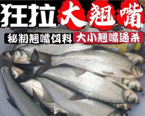 钓黄尾浮漂的正确方法与技巧（绝佳钓法让你收获满满）  第3张