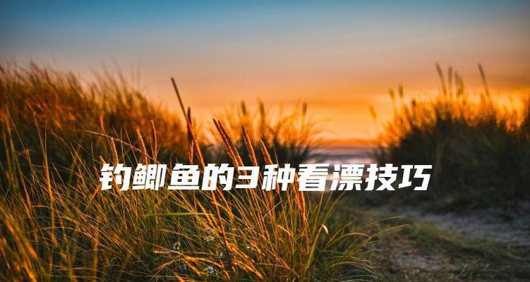 钓鲫鱼的浮调漂技巧教程（钓鲫鱼的高效技巧分享）  第1张